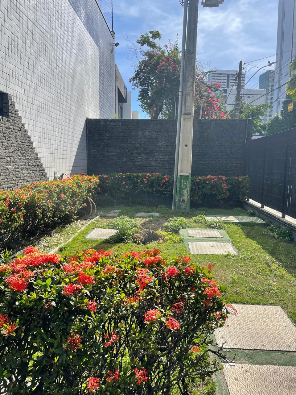 Imagem Apartamento com 3 Quartos à Venda, 98 m² em Boa Viagem - Recife