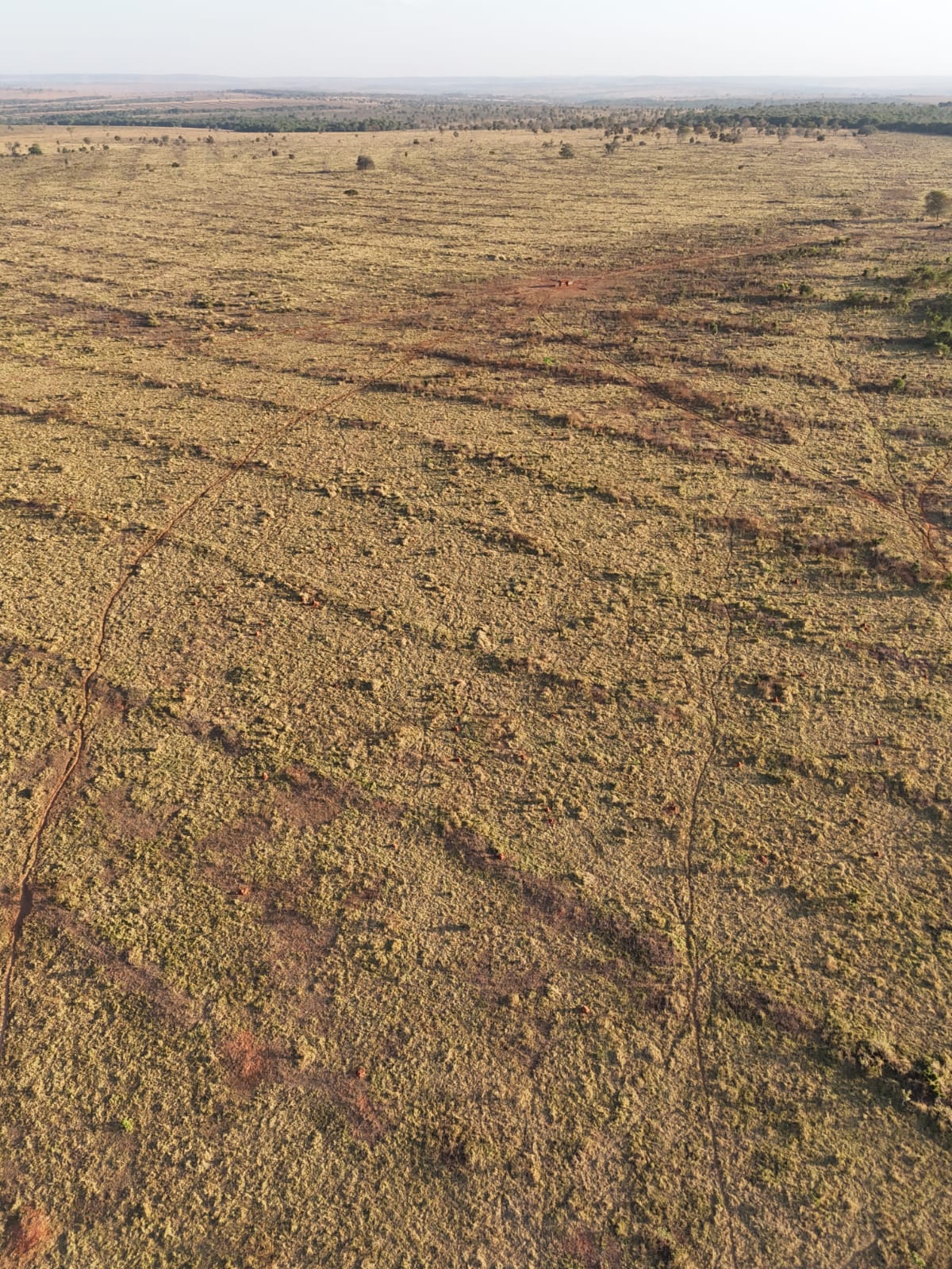 Imagem Fazenda à Venda, 119 Alq GOem ZONA RURAL - Itarumã