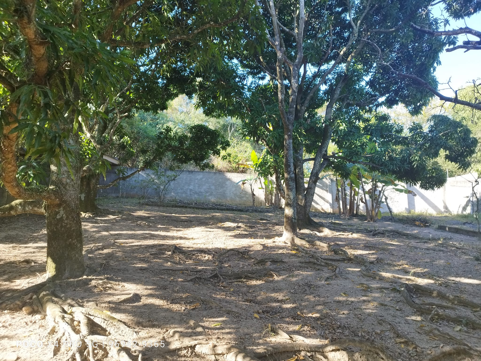 Imagem Imóvel com 4 Quartos à Venda, 4 m²em Guaratiba - Rio de Janeiro Imagem Imóvel com 4 Quartos à Venda, 4 m²em Guaratiba - Rio de Janeiro