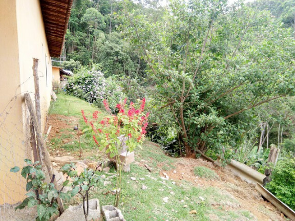Imagem Chácara com 3 Quartos à Venda, 3 m² em Jardim Zaira - Mauá Imagem Chácara com 3 Quartos à Venda, 3 m² em Jardim Zaira - Mauá