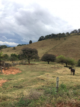 Imagem Fazenda à Venda, 149.000 m² em Zona Rural - Soledade de Minas Imagem Fazenda à Venda, 149.000 m² em Zona Rural - Soledade de Minas