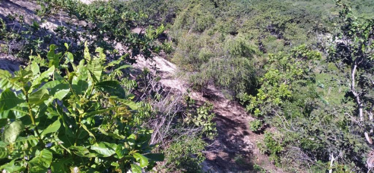 Imagem Terreno à Venda, 5.658 m²em Pajuçara - Natal Imagem Terreno à Venda, 5.658 m²em Pajuçara - Natal