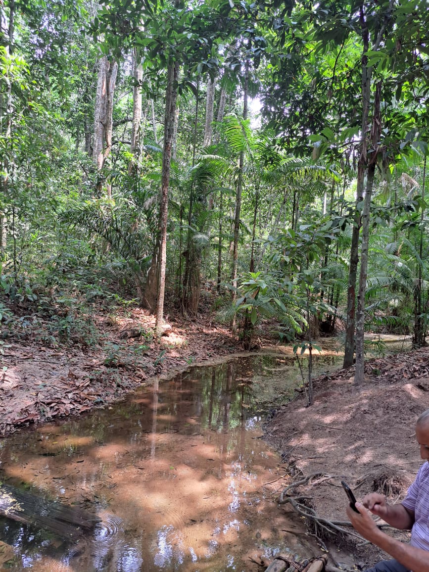 Imagem Terreno à Venda, 250 m²em Vigia - Santarém