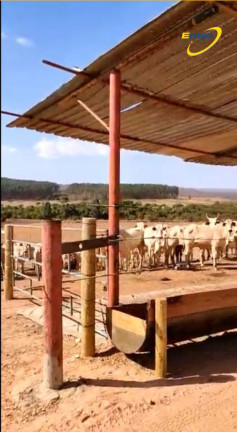 Imagem Fazenda à Venda, 297 HAem Paranoá - Brasília Imagem Fazenda à Venda, 297 HAem Paranoá - Brasília