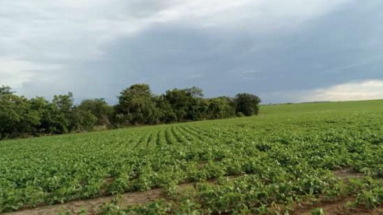 Imagem Imóvel à Venda, em Buritis - Formoso Imagem Imóvel à Venda, em Buritis - Formoso