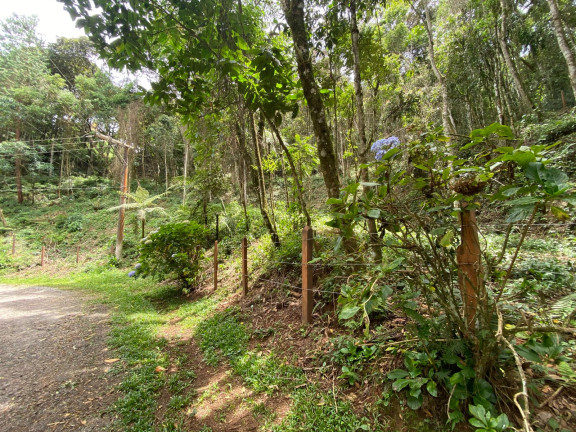 Imagem Terreno em Condomínio à Venda, 4.760 m² em Alpes Campos Jordão - Campos do Jordão Imagem Terreno em Condomínio à Venda, 4.760 m² em Alpes Campos Jordão - Campos do Jordão