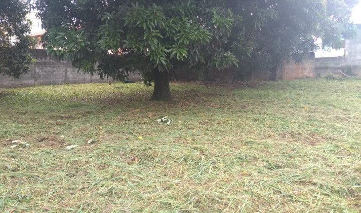 Imagem Terreno à Venda, 1.548 m² em Jardim Cocaia - Guarulhos Imagem Terreno à Venda, 1.548 m² em Jardim Cocaia - Guarulhos