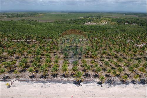 Terreno à Venda, 14 m²em ILHA DO CONTRATO - Igrapiúna