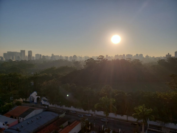 Imagem Apartamento com 2 Quartos para Alugar, 125 m² em Vila Cruzeiro - São Paulo Imagem Apartamento com 2 Quartos para Alugar, 125 m² em Vila Cruzeiro - São Paulo
