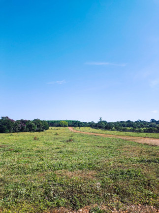 Imagem Terreno em Condomínio à Venda, 1.000 m² em Jaboticatubas - Jaboticatubas Imagem Terreno em Condomínio à Venda, 1.000 m² em Jaboticatubas - Jaboticatubas