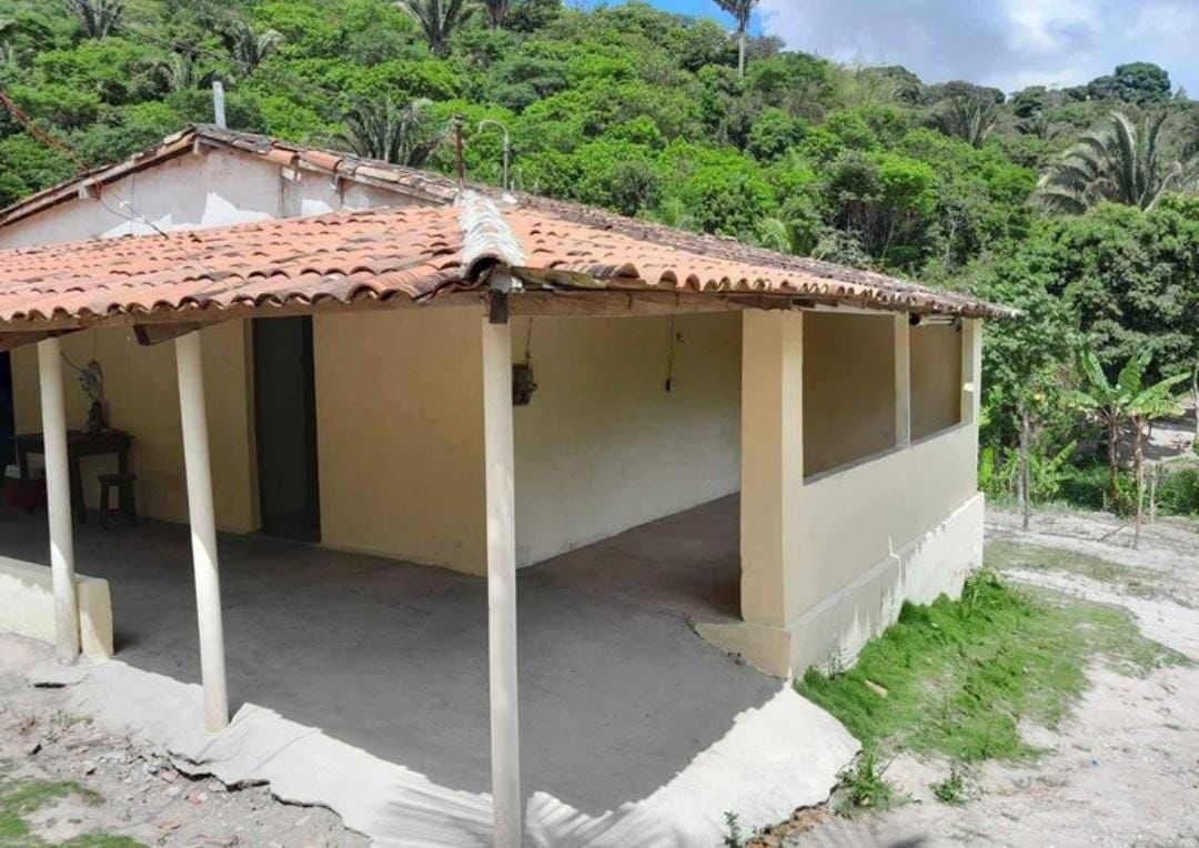 Imagem Fazenda à Venda, 3 HAem Centro - Areia Imagem Fazenda à Venda, 3 HAem Centro - Areia