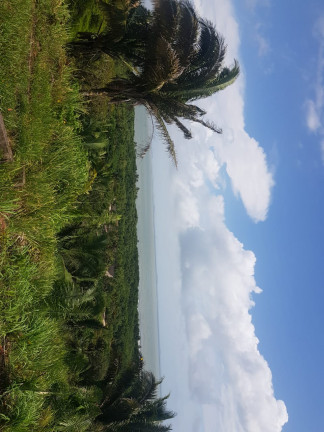 Imagem Terreno à Venda, 15.300 m² em Arçagy - São José de Ribamar