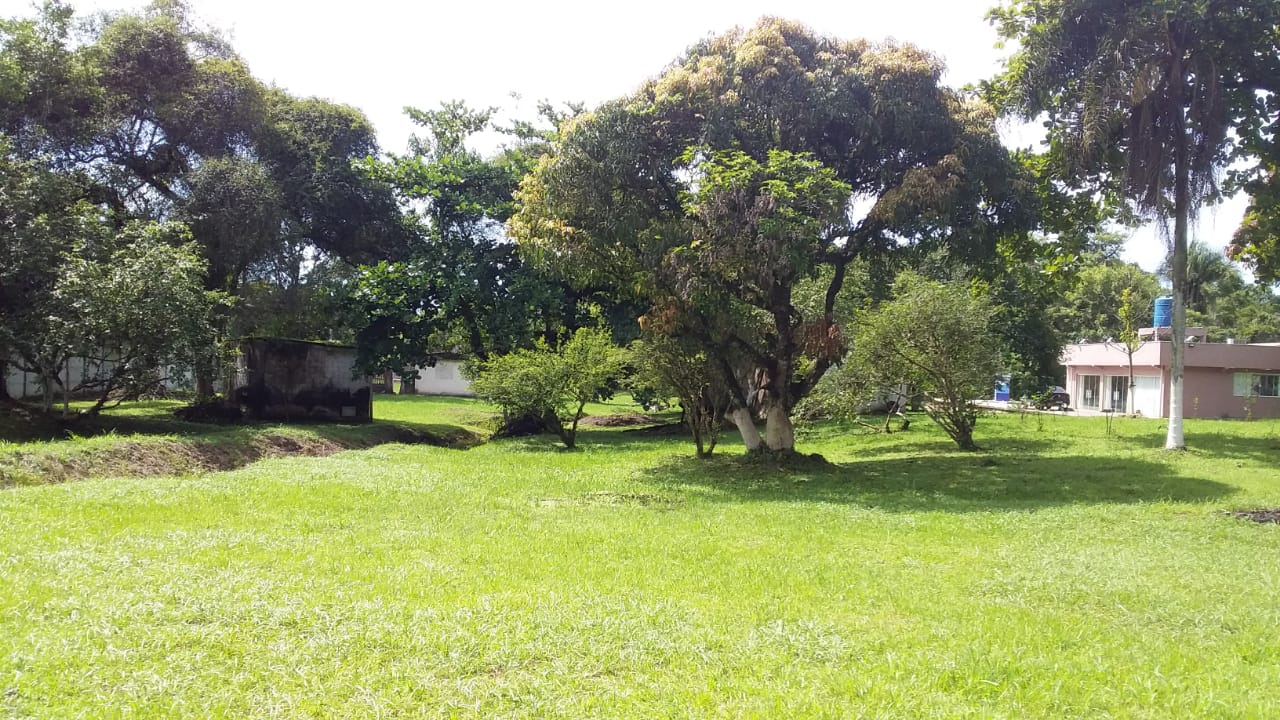 Imagem Chácara com 3 Quartos à Venda, 498 m²em Balneário Flórida Mirim - Mongaguá Imagem Chácara com 3 Quartos à Venda, 498 m²em Balneário Flórida Mirim - Mongaguá