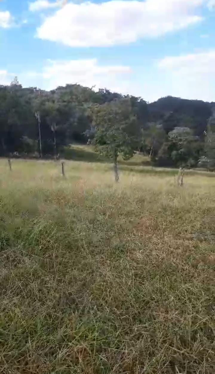Imagem Fazenda à Venda, 65 Alq GOem ZONA RURAL - Córrego do Ouro Imagem Fazenda à Venda, 65 Alq GOem ZONA RURAL - Córrego do Ouro