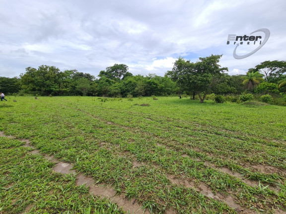 Imagem Fazenda à Venda, 24 HA em brazlandia - Brasília Imagem Fazenda à Venda, 24 HA em brazlandia - Brasília