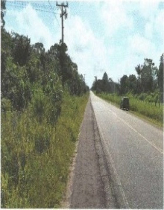 Imagem Fazenda à Venda, 66.246 m² em Zona Rural - Vigia Imagem Fazenda à Venda, 66.246 m² em Zona Rural - Vigia