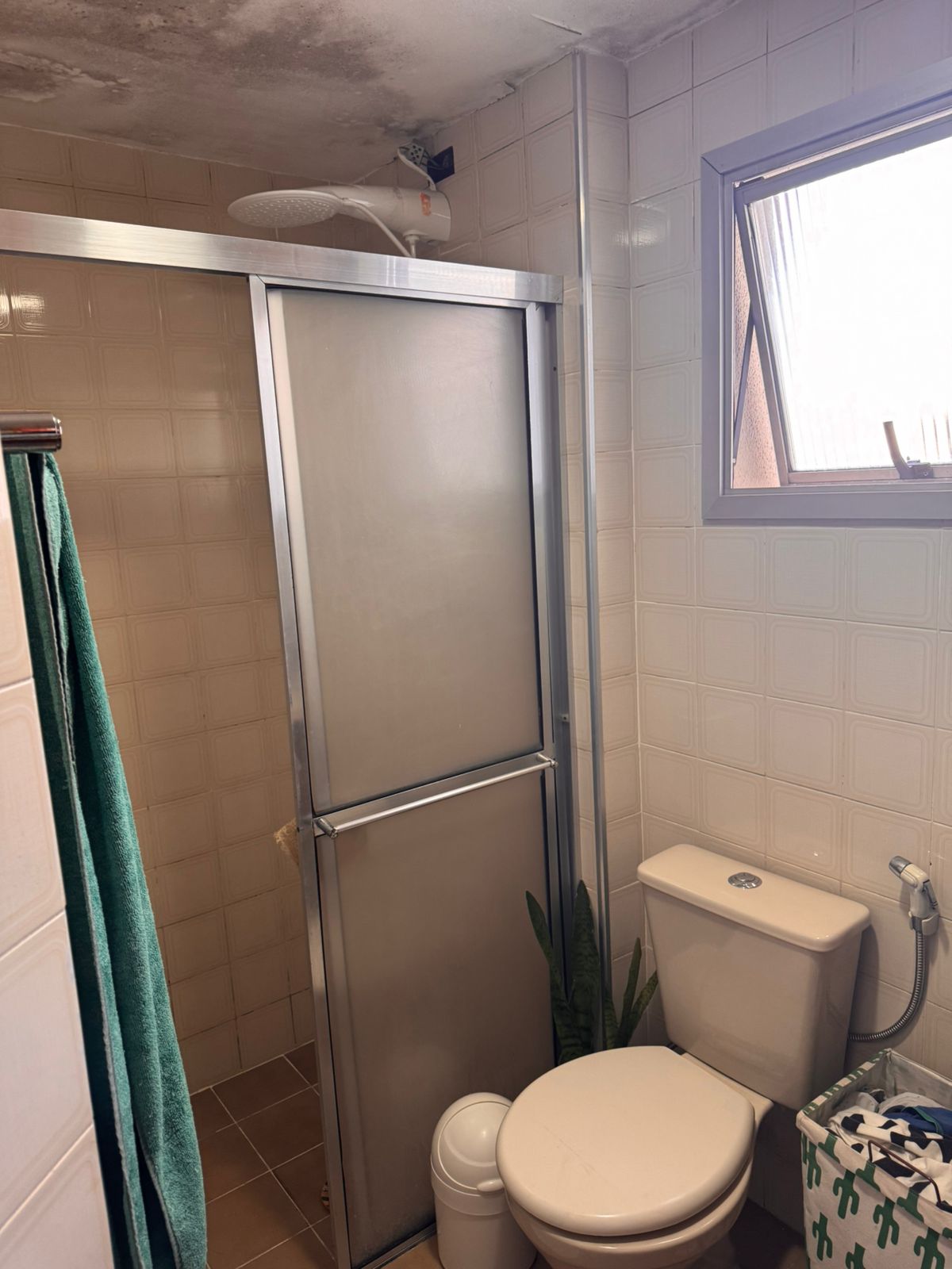 Imagem Apartamento com 2 Quartos à Venda ou Locação, 62 m² em Vila Mascote - São Paulo Imagem Apartamento com 2 Quartos à Venda ou Locação, 62 m² em Vila Mascote - São Paulo