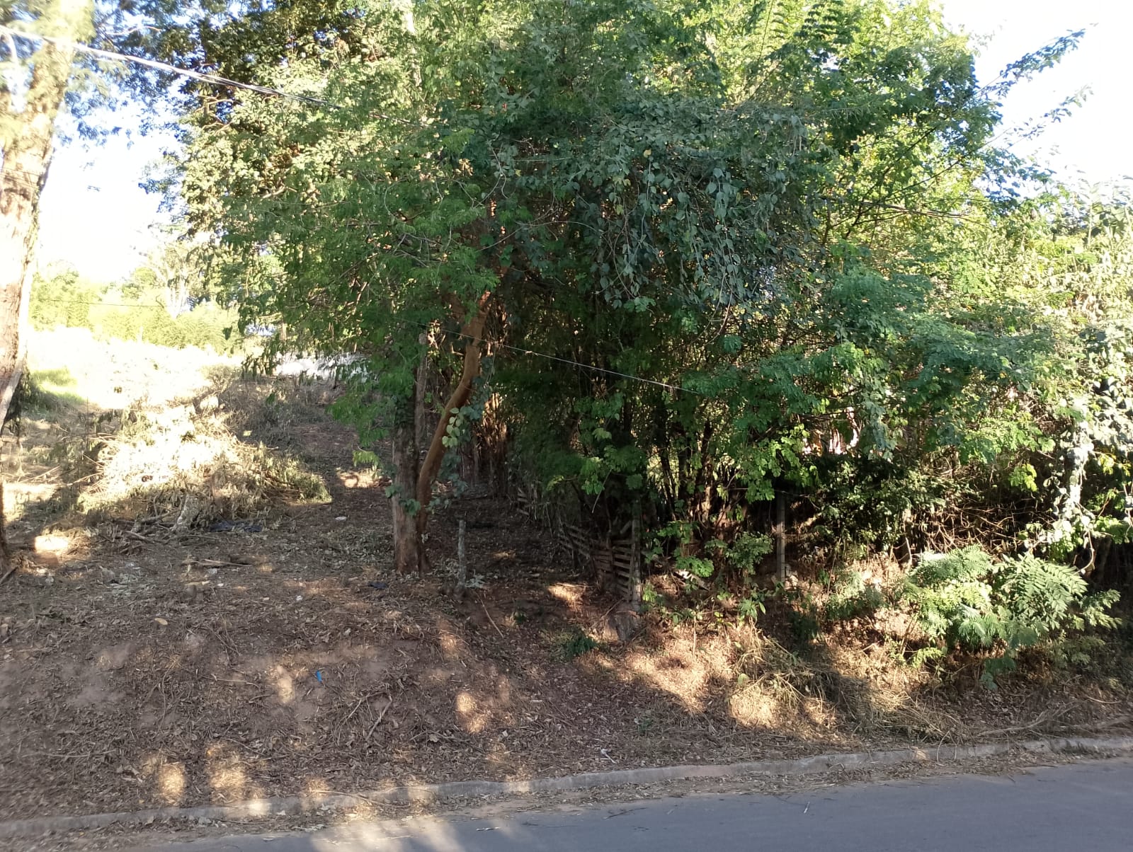 Imagem Terreno à Venda, 1 m²em Chácaras Pousada do Vale - São José dos Campos Imagem Terreno à Venda, 1 m²em Chácaras Pousada do Vale - São José dos Campos