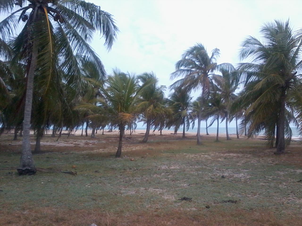 Imagem Terreno à Venda, 168.640 metro em Praia de Pititinga - Rio do Fogo Imagem Terreno à Venda, 168.640 metro em Praia de Pititinga - Rio do Fogo
