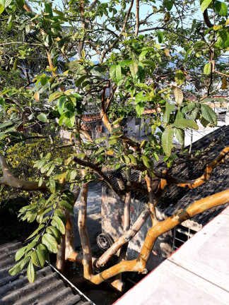 Imagem Casa com 5 Quartos à Venda, 420 m² em Jaraguá - Caraguatatuba