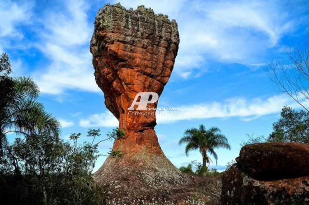 Imagem Casa com 3 Quartos à Venda, 96 m²em Contorno - Ponta Grossa