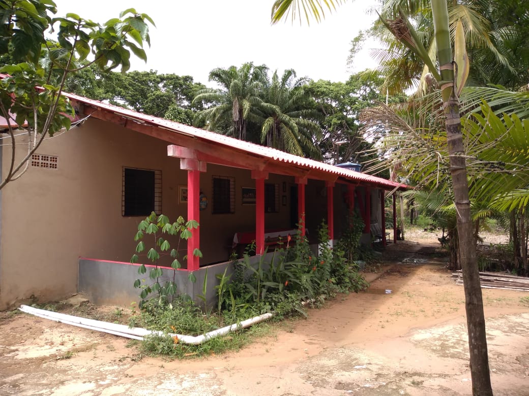 Imagem Chácara à Venda, 37 m²em Zona Rural - Vigia