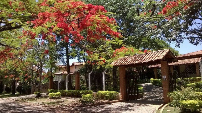 Imagem Chácara com 3 Quartos à Venda, 2.500 m² em Chácara Carolina - Itu