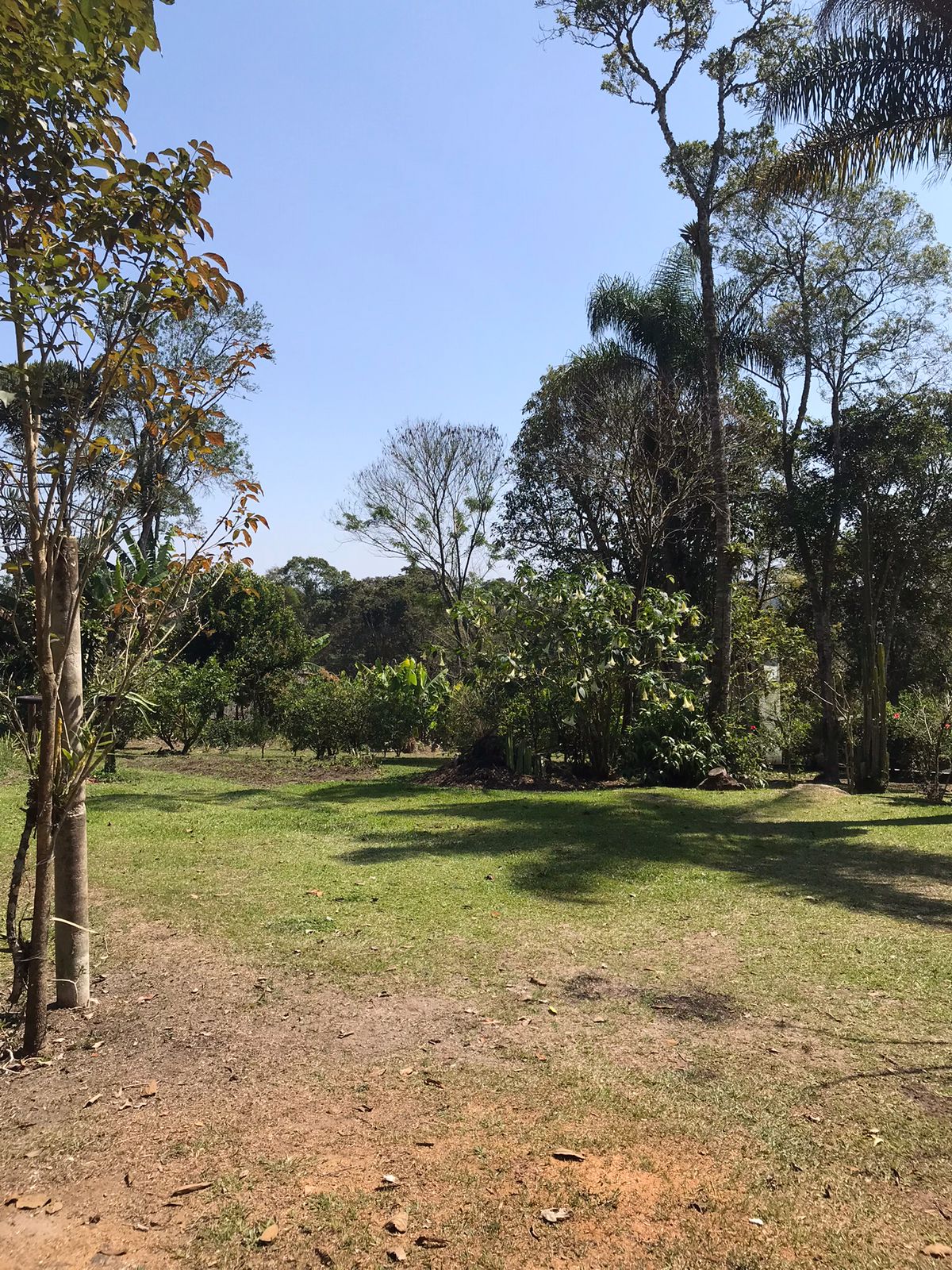 Imagem Chácara com 2 Quartos à Venda, 12 m²em Biritiba Ussu - Mogi das Cruzes Imagem Chácara com 2 Quartos à Venda, 12 m²em Biritiba Ussu - Mogi das Cruzes