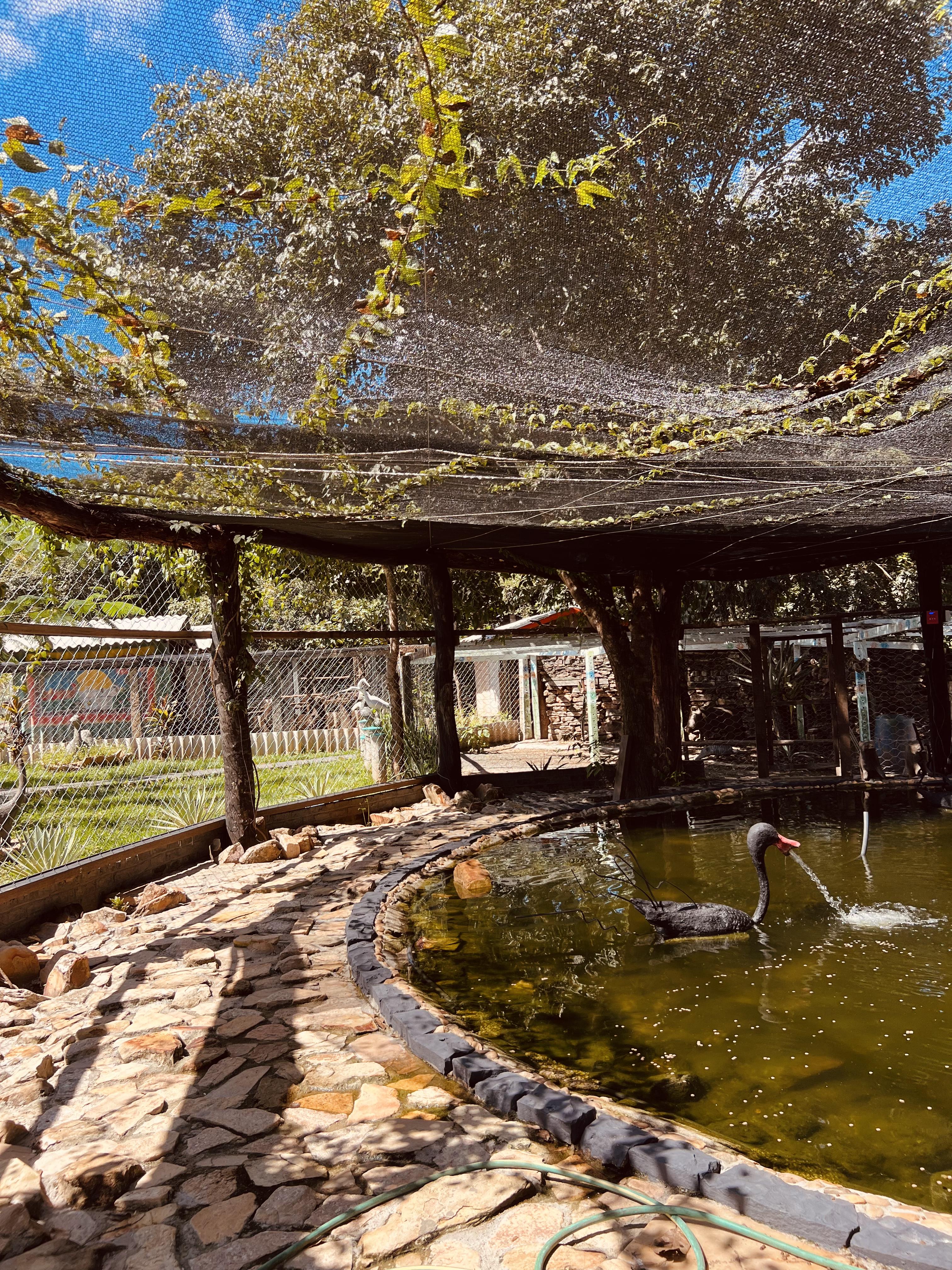 Imagem Chácara com 7 Quartos à Venda, 5.000 m² em Setor Central - Mairipotaba Imagem Chácara com 7 Quartos à Venda, 5.000 m² em Setor Central - Mairipotaba
