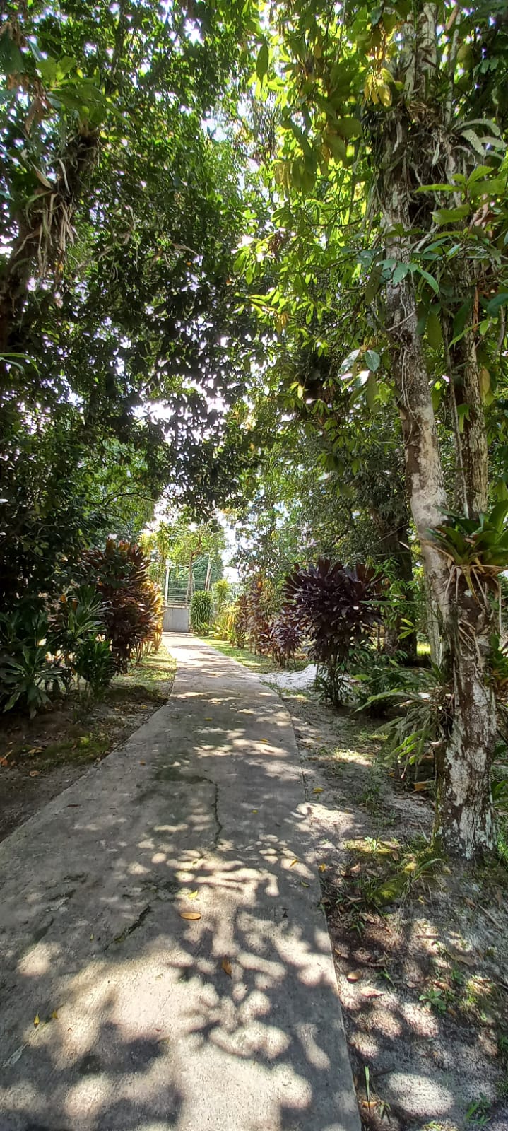 Imagem Terreno à Venda, 12 m²em Murinin - Benevides