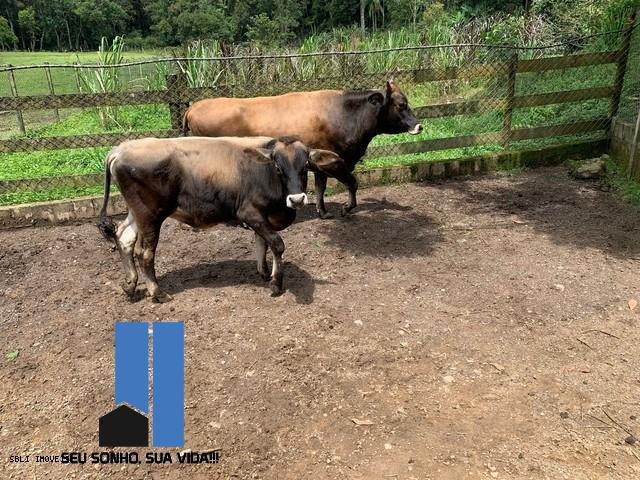 Imagem Terreno à Venda, 110 m²em Juquiazinho - Juquitiba