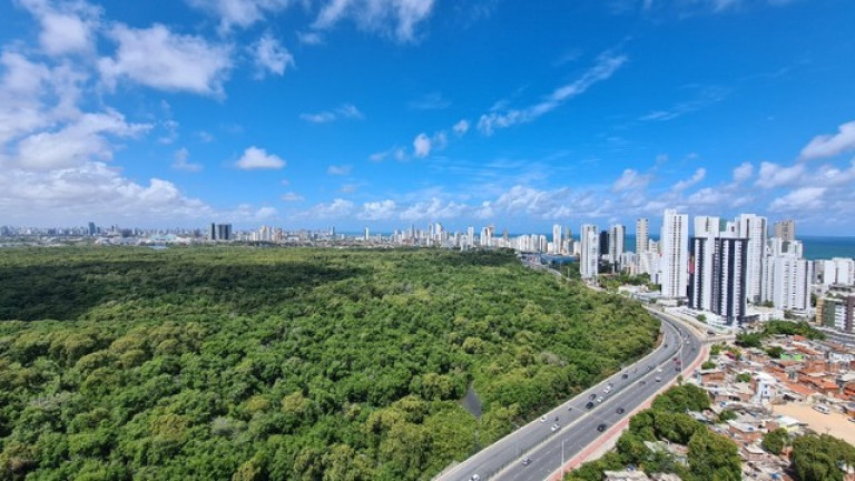 Imagem Apartamento com 4 Quartos à Venda, 130 m² em Boa Viagem - Recife