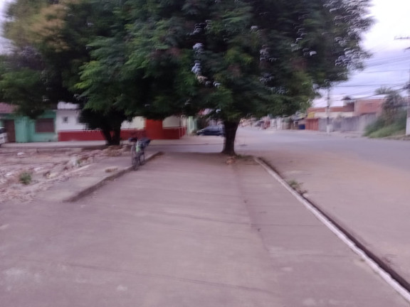 Imagem Imóvel Comercial para Alugar,  em Caranazal - Santarém
