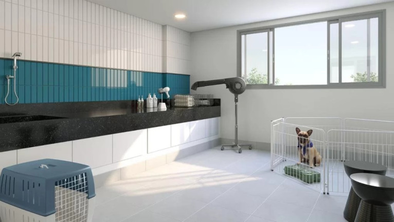Imagem Apartamento com 3 Quartos à Venda, 77 m² em Santo Cristo - Rio de Janeiro Imagem Apartamento com 3 Quartos à Venda, 77 m² em Santo Cristo - Rio de Janeiro