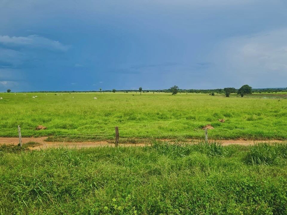 Imagem Fazenda à Venda, 1115 m² em ZONA RURAL - Mundo Novo Imagem Fazenda à Venda, 1115 m² em ZONA RURAL - Mundo Novo