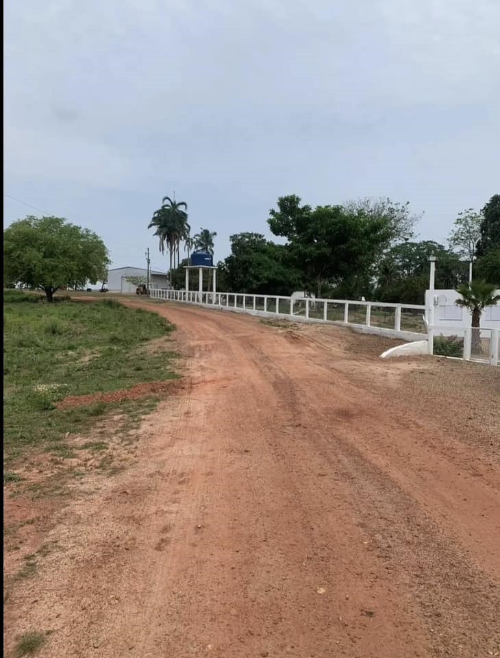 Imagem Fazenda à Venda, 2 HAem ZONA RURAL - General Carneiro Imagem Fazenda à Venda, 2 HAem ZONA RURAL - General Carneiro