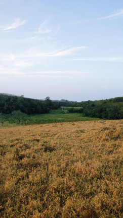 Imagem Terreno em Condomínio à Venda, 1.000 m² em Paruru - Ibiúna Imagem Terreno em Condomínio à Venda, 1.000 m² em Paruru - Ibiúna