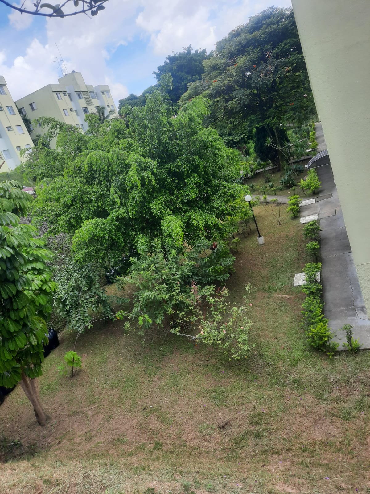 Imagem Apartamento com 2 Quartos à Venda ou Temporada, 49 m²em Vila Sílvia - São Paulo Imagem Apartamento com 2 Quartos à Venda ou Temporada, 49 m²em Vila Sílvia - São Paulo
