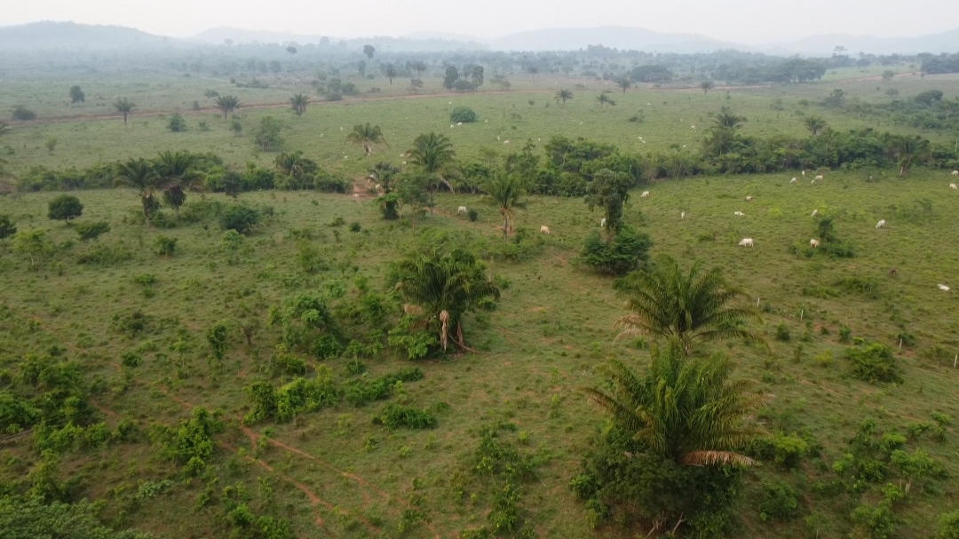 Imagem Fazenda à Venda, 1 m²em Centro  - São Félix do Xingu
