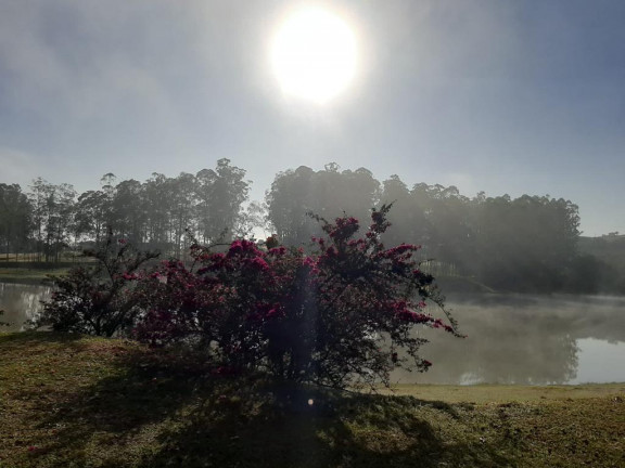 Imagem Terreno à Venda, 400 m² em Ninho Verde II - Pardinho Imagem Terreno à Venda, 400 m² em Ninho Verde II - Pardinho