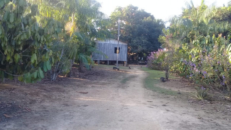 Imagem Terreno à Venda, em Zona Rural - Humaitá Imagem Terreno à Venda, em Zona Rural - Humaitá