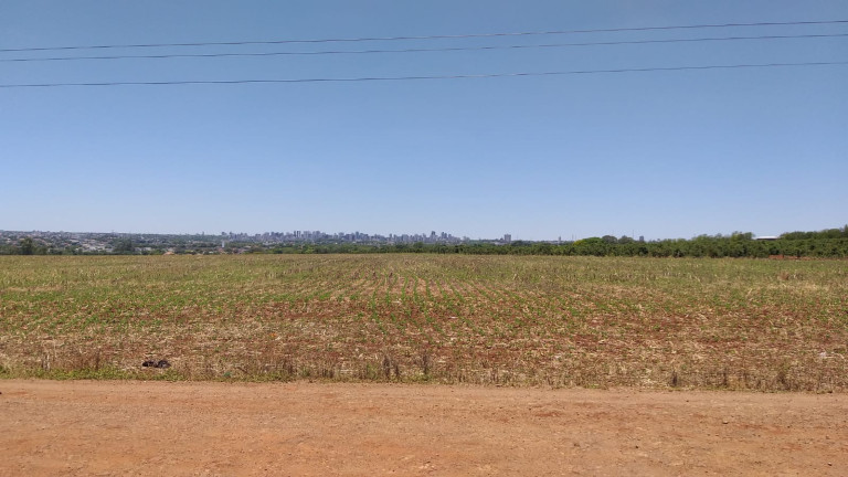 Imagem Fazenda à Venda,  em Gleba Ribeirão Maringá - Maringá