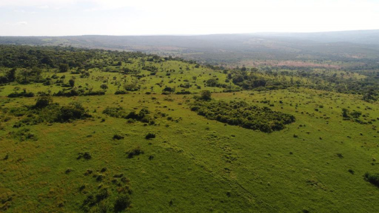 Imagem Terreno à Venda, 11.500 m² em zona rural - Bocaiúva