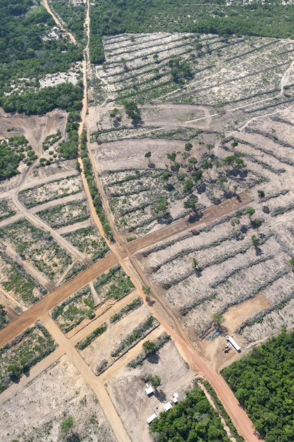 Imagem Terreno à Venda, 237 m²em Nova Vitória - Santarém