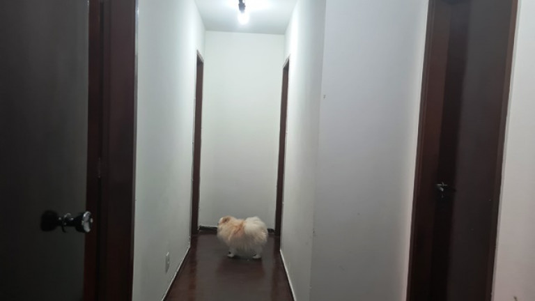 Imagem Apartamento com 3 Quartos à Venda, 125 m² em Icaraí - Niterói