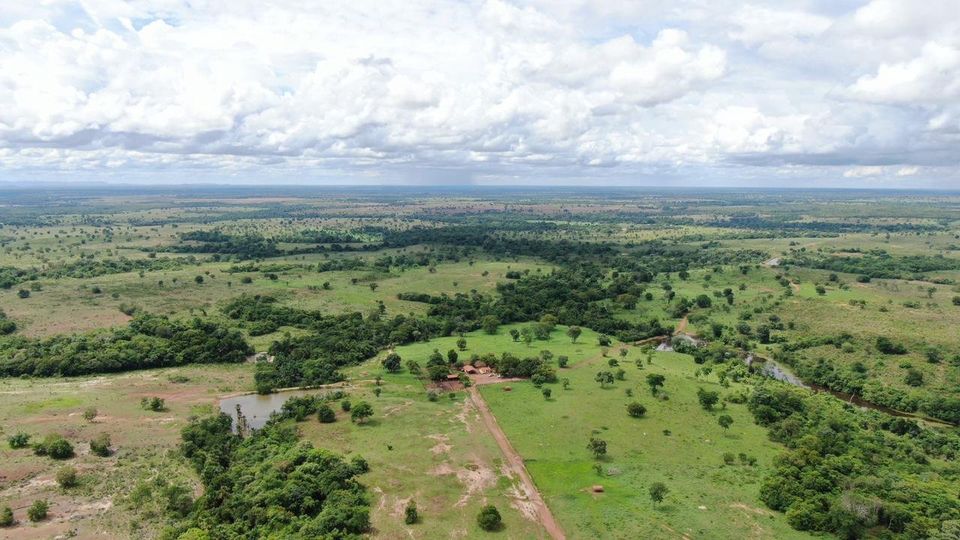 Imagem Fazenda à Venda, 435 Alq GOem Zona Rural - Novo Planalto