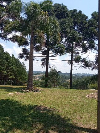Imagem Chácara com 2 Quartos à Venda, 12.350 m² em RIBEIRÃOZINHO - Agudos do Sul Imagem Chácara com 2 Quartos à Venda, 12.350 m² em RIBEIRÃOZINHO - Agudos do Sul