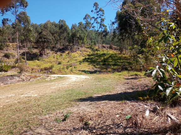 Imagem Chácara à Venda, 96.000 m² em KM 45 DA RODOVIA TAMOIOS - Paraibuna Imagem Chácara à Venda, 96.000 m² em KM 45 DA RODOVIA TAMOIOS - Paraibuna