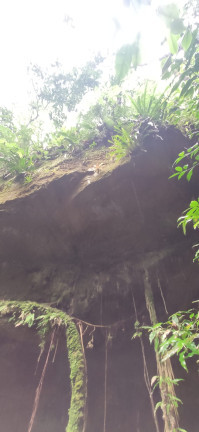 Imagem Terreno à Venda, em Santaninha - Pedras Grandes Imagem Terreno à Venda, em Santaninha - Pedras Grandes