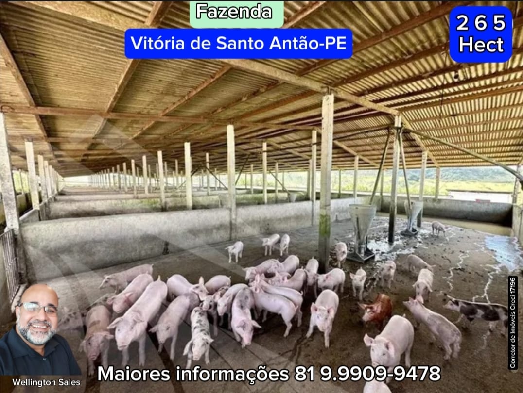 Imagem Imóvel com 4 Quartos à Venda, 265 m²em Área Rural de Vitória do Santo Antão - Vitória de Santo Antão Imagem Imóvel com 4 Quartos à Venda, 265 m²em Área Rural de Vitória do Santo Antão - Vitória de Santo Antão